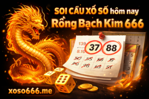 Rồng bạch kim 666 hôm nay