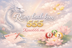 Rồng bạch kim 555