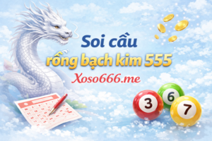 Soi cầu rồng bạch kim 555